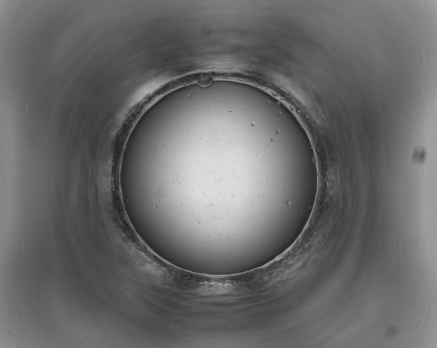 X0000097621315200803071502