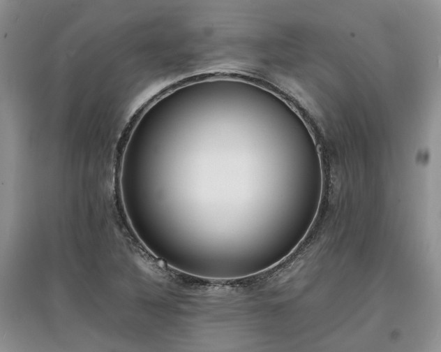X0000097621316200803071502
