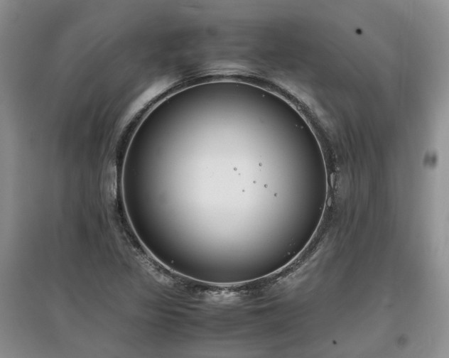 X0000097621317200803071502