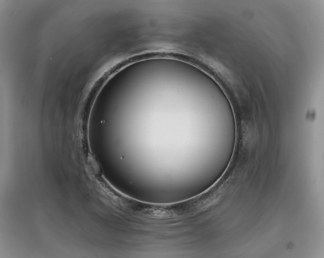 X0000097621318200803071502