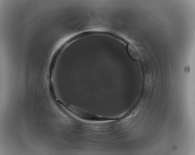 X0000097621319200803071502