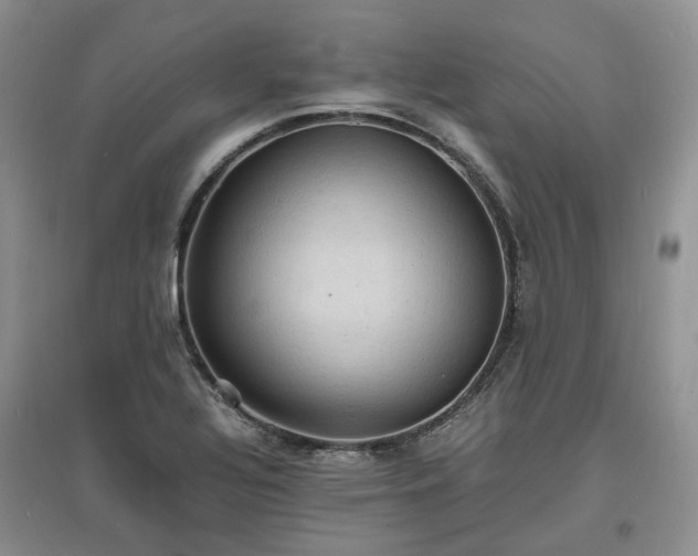X0000097621320200803071502