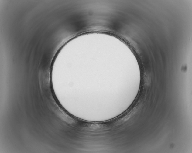 X0000097621322200803071502