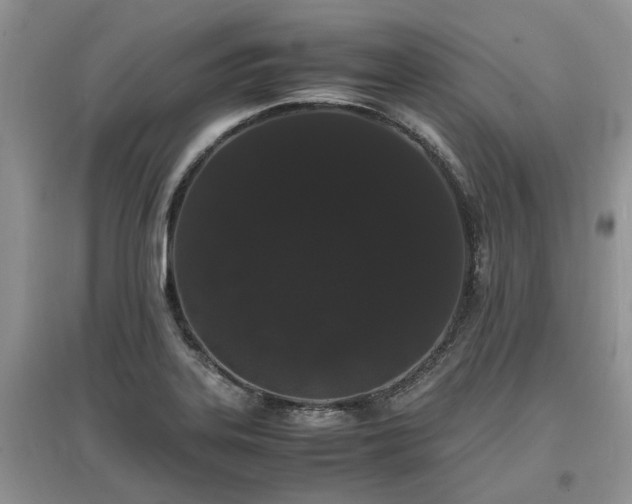 X0000097621323200803071502