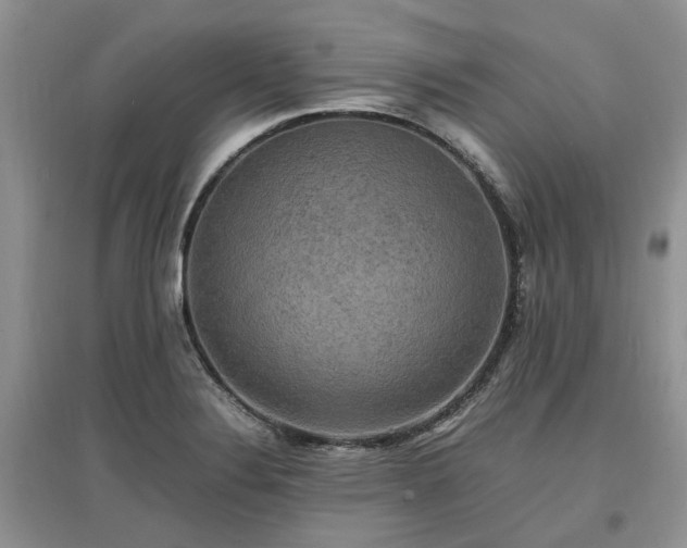 X0000097621324200803071502