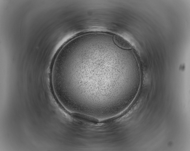 X0000097621325200803071502