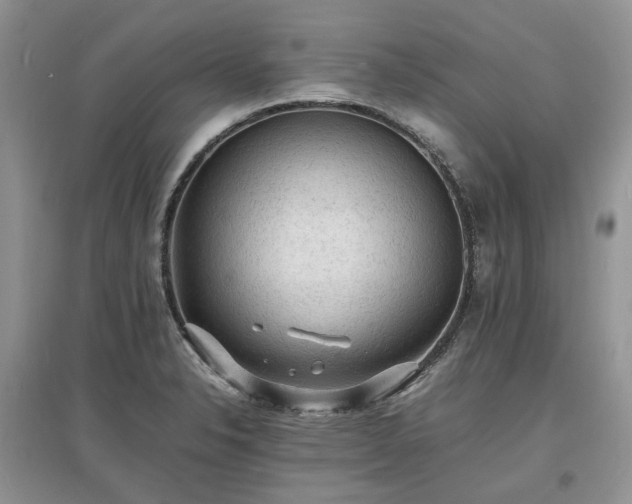 X0000097621326200803071502