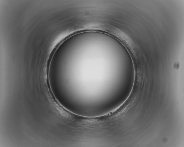 X0000097621328200803071502