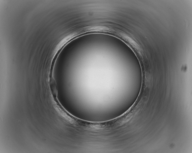 X0000097621330200803071502