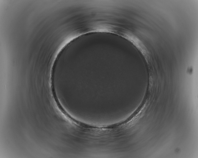 X0000097621331200803071502