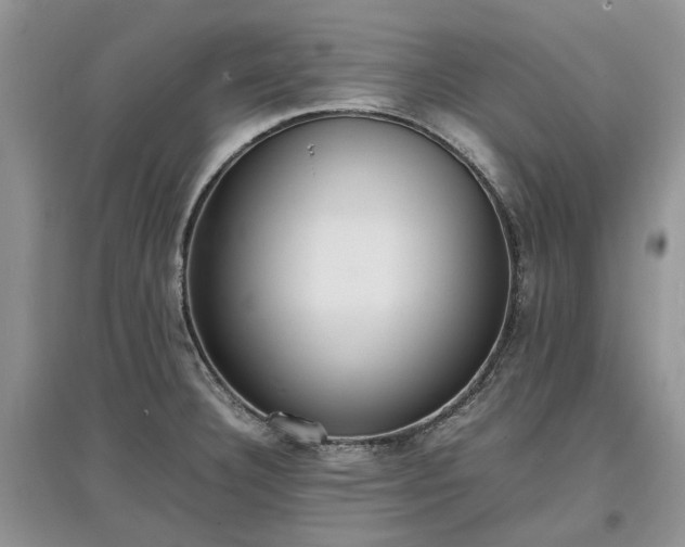 X0000097621332200803071502