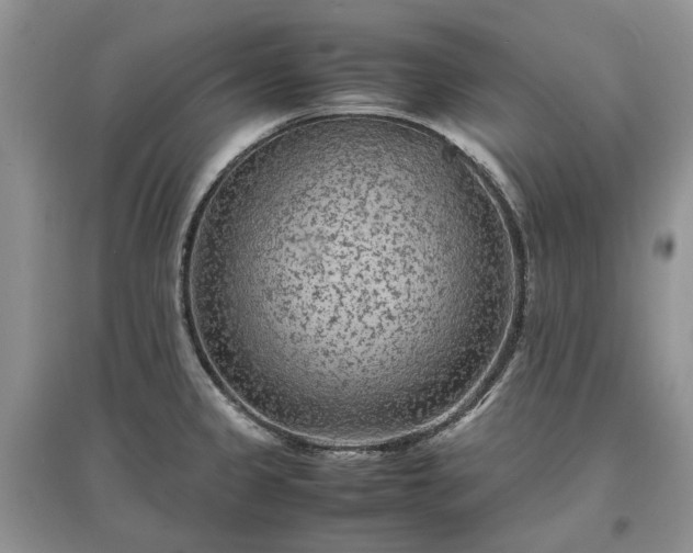 X0000097621333200803071502