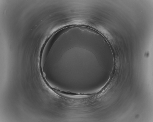 X0000097621334200803071502