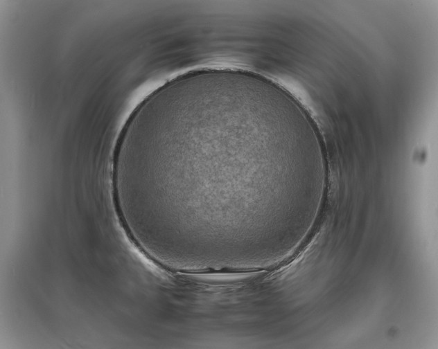 X0000097621335200803071502