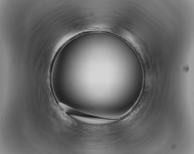 X0000097621336200803071502