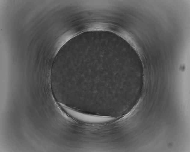 X0000097621337200803071502
