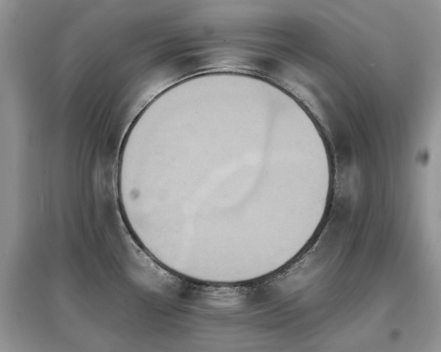 X0000097621338200803071502