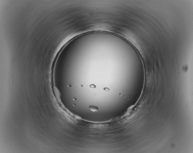 X0000097621339200803071502
