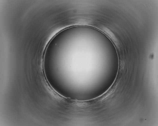 X0000097621340200803071502