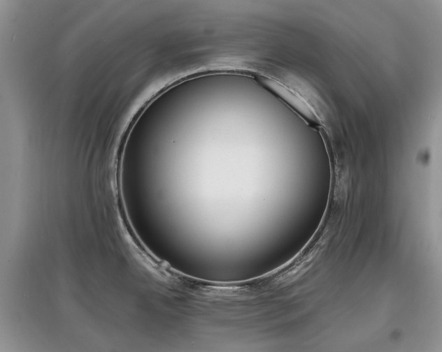 X0000097621342200803071502