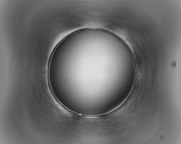 X0000097621343200803071502