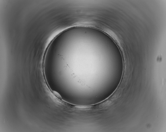 X0000097621344200803071502