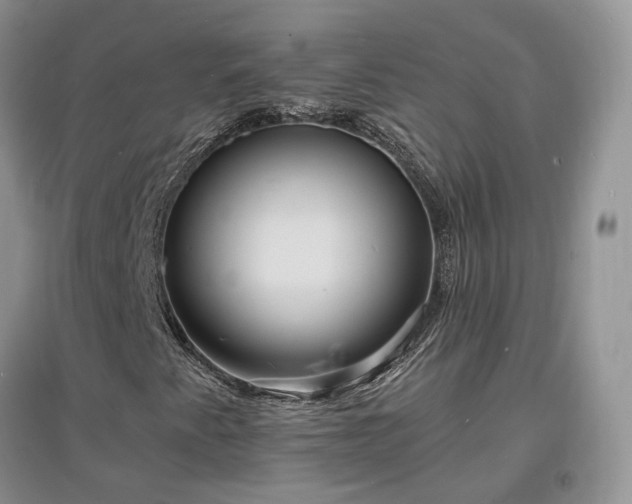 X0000097621345200803071502