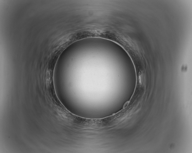 X0000097621347200803071501