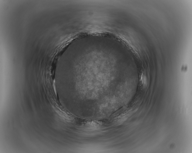 X0000097621348200803071501