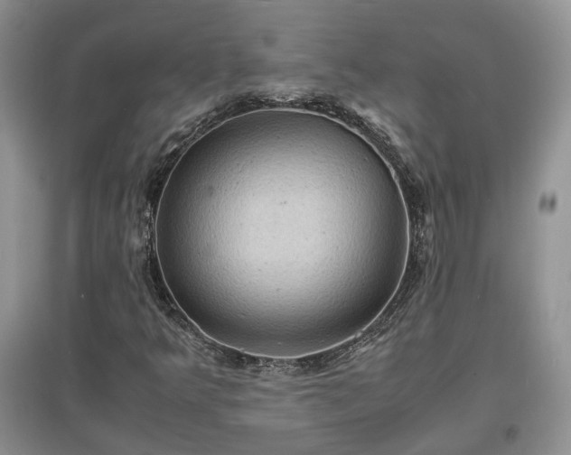 X0000097621349200803071501