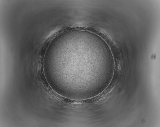 X0000097621350200803071501