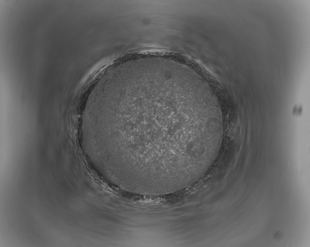 X0000097621351200803071501