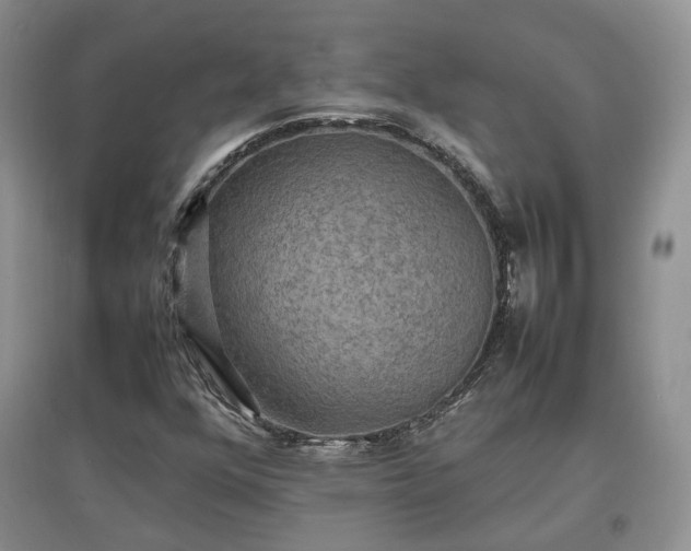 X0000097621352200803071501