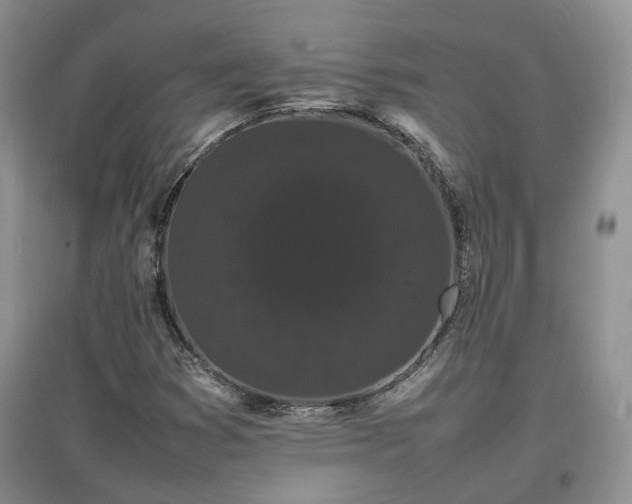 X0000097621353200803071501