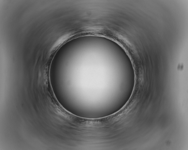 X0000097621354200803071501