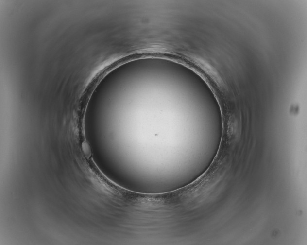 X0000097621356200803071501
