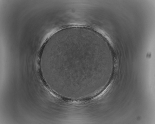 X0000097621357200803071501