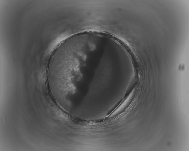 X0000097621359200803071501