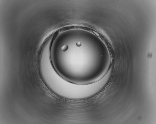 X0000097621360200803071501
