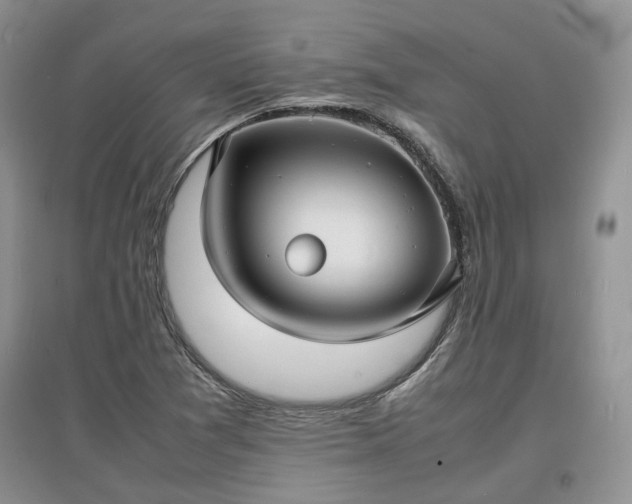 X0000097621361200803071501