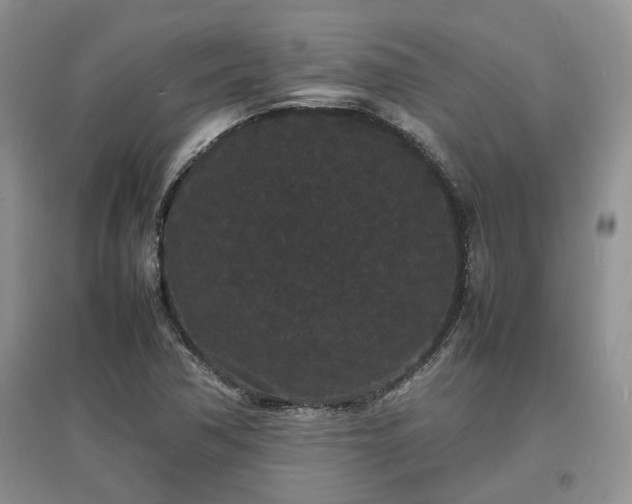 X0000097621362200803071501
