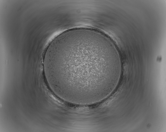 X0000097621363200803071501
