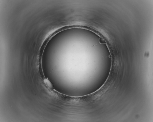 X0000097621364200803071501