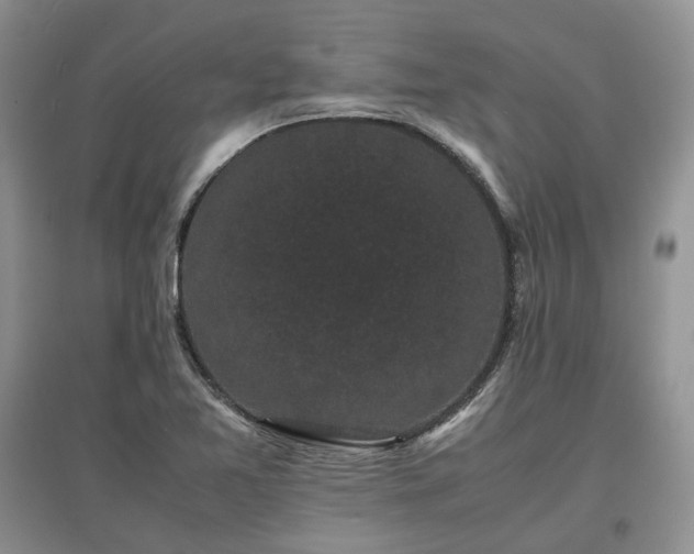 X0000097621365200803071501