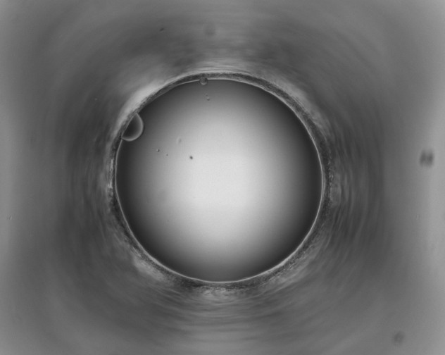 X0000097621366200803071501