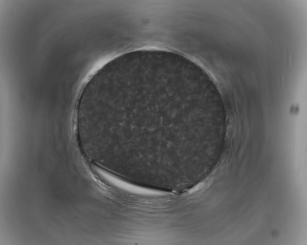 X0000097621367200803071501
