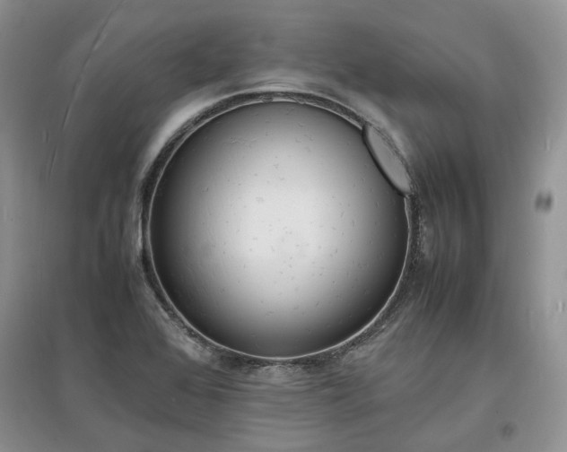 X0000097621368200803071501