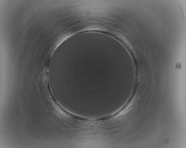 X0000097621369200803071501