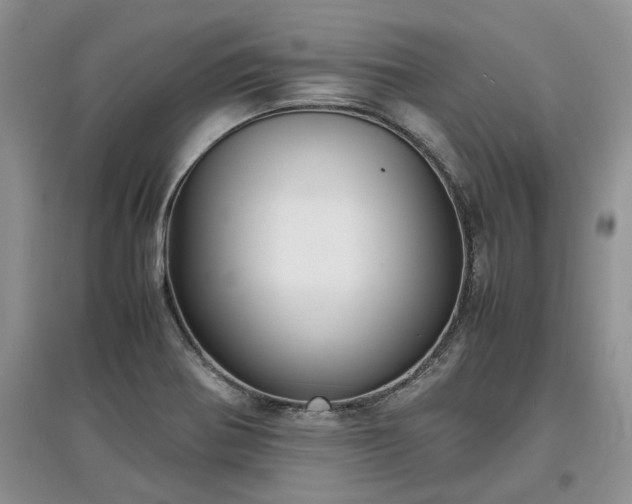 X0000097621370200803071501