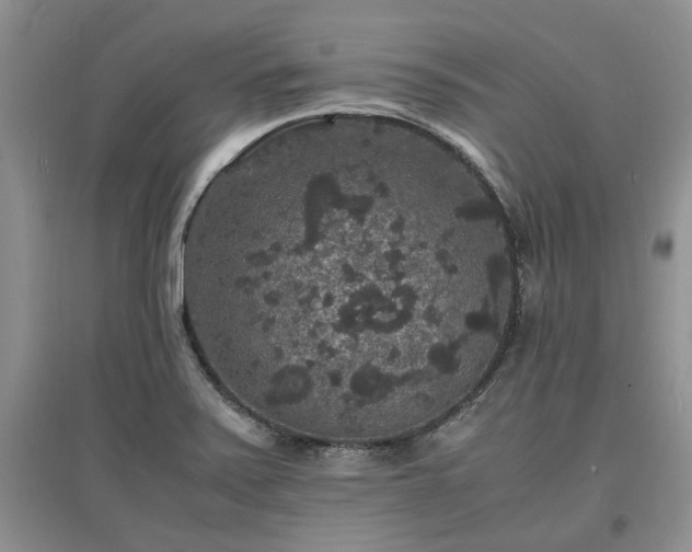 X0000097621371200803071501
